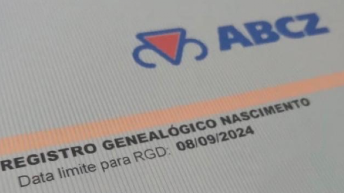  Após pedido da ABCZ, MAPA prorroga validade de Registro Genealógico de Nascimento para RGD 