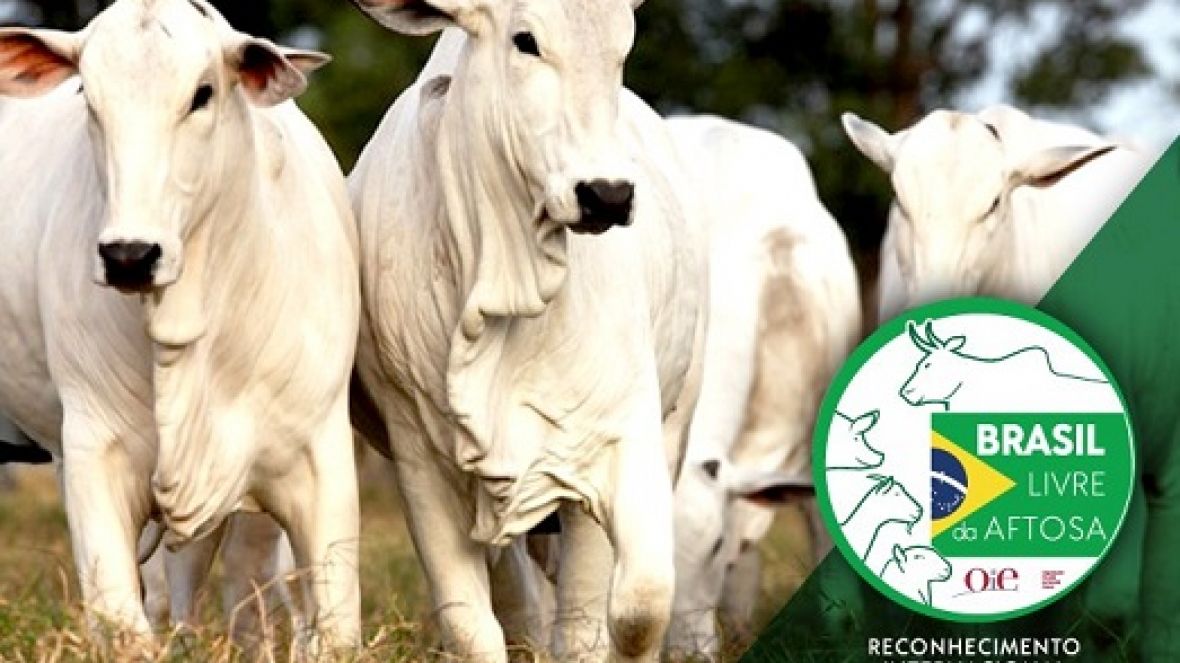ABCZ participa da semana "Brasil Livre da Aftosa"