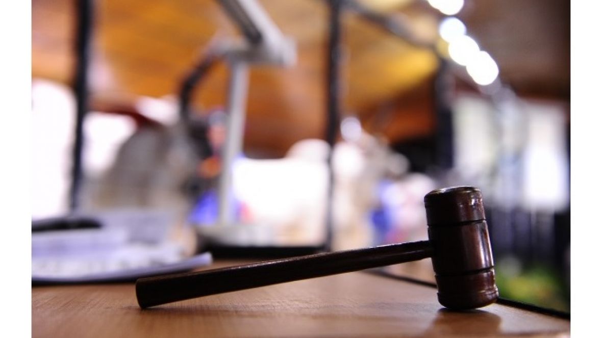 Primeiro leilão da Expogenética movimenta mais de R$2 milhões