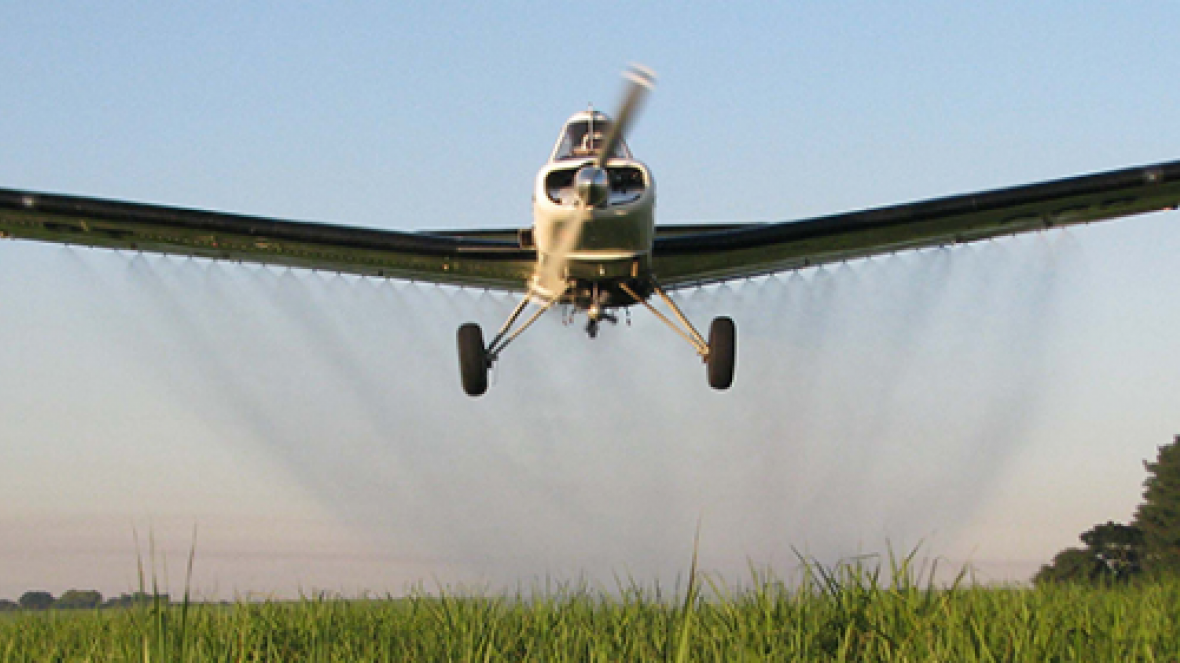 Grupo faz treinamento sobre uso correto de defensivos em Uberaba