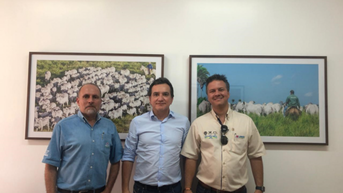 AgroMaratá adere ao PMGZ Comercial e avaliará 5 mil animais na próxima safra