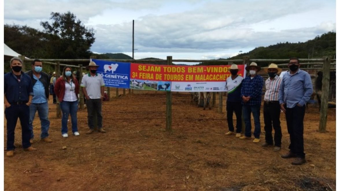 Feira do Pró-Genética em Malacacheta tem média de R$ 16 mil por animal vendido