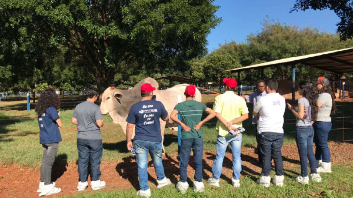 Estudantes de Fortaleza visitam empresas e fazendas referências de melhoramento genético em Uberaba