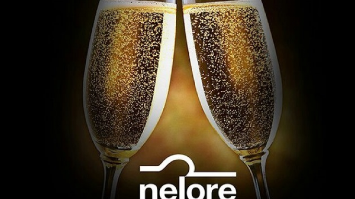 Presidente da ABCZ recebe homenagem na Nelore Fest Goiás