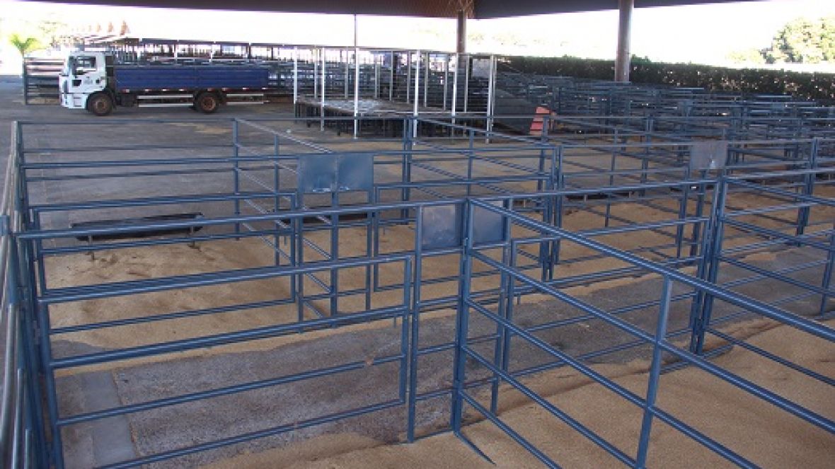 Preparativos para a ExpoGenética movimentam o Parque Fernando Costa