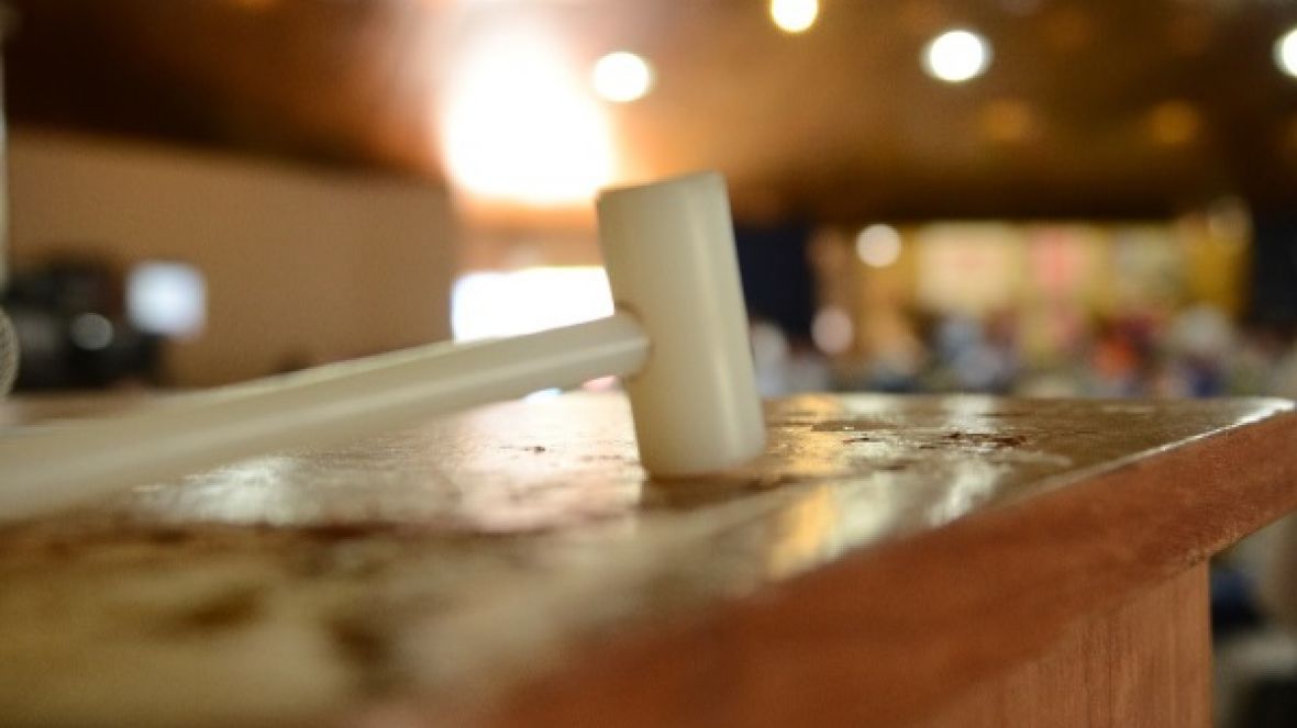 ExpoGenética 2018: Mais de 8 milhões são movimentados em três leilões