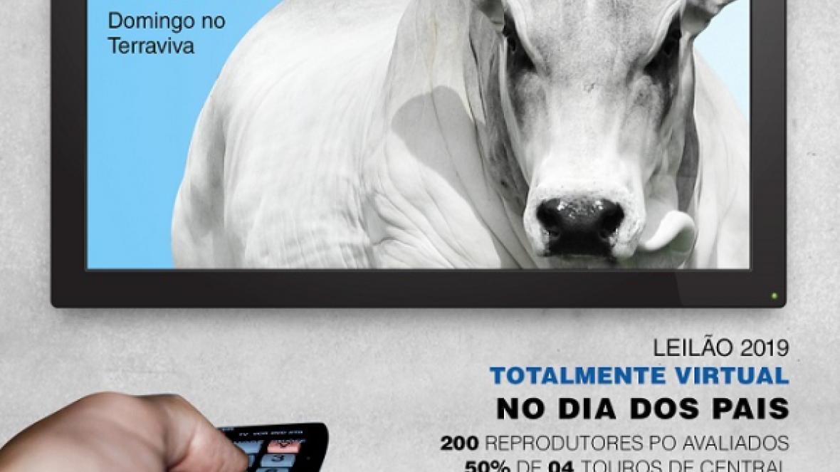'11º Leilão Nelore Vera Cruz' será realizado no próximo domingo (11)