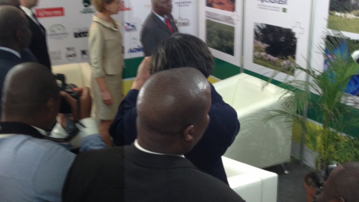 Zebu brasileiro é destaque em feira na África 