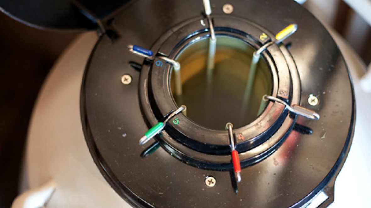 Exportações de sêmen bovino crescem 33,1% 