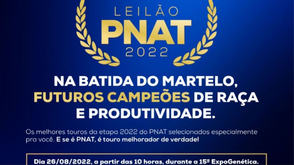 ExpoGenética 2022: Preparativos finais para o ‘Leilão Touros PNAT’