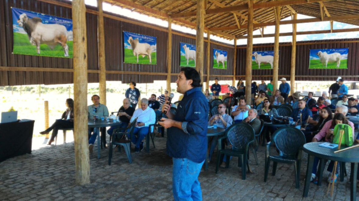 5ª edição do Circuito PMGZ exalta a Raça Brahman