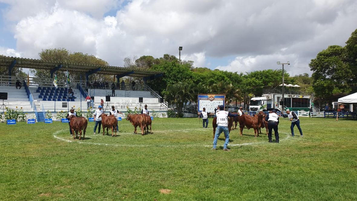 ABCZ presente na Festa do Boi, maior evento agropecuário do Rio Grande do Norte