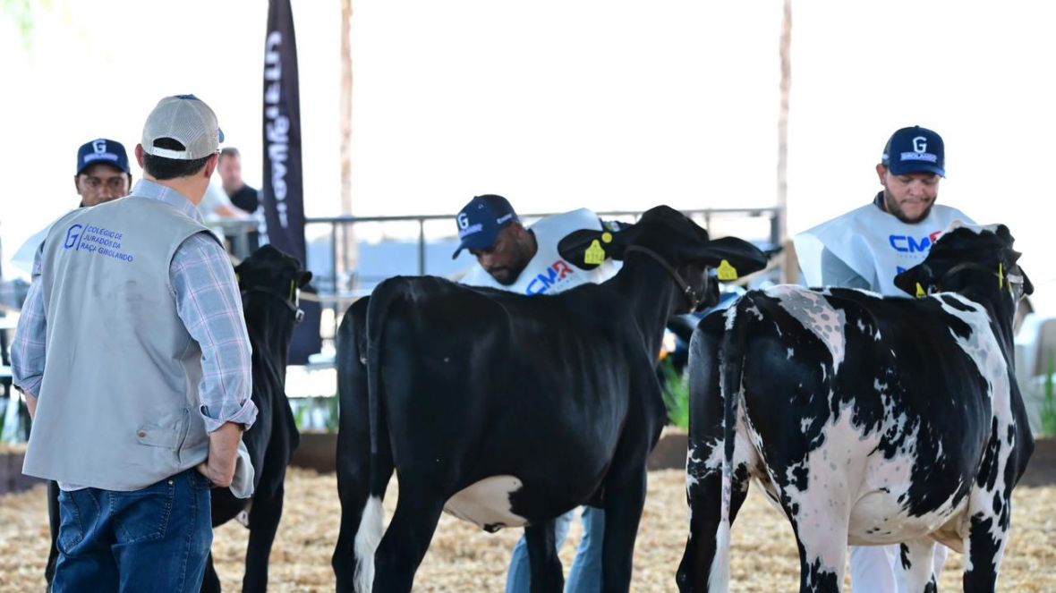 Pavilhão Multiuso recebe os primeiros julgamentos da 3ª ExpoLeite