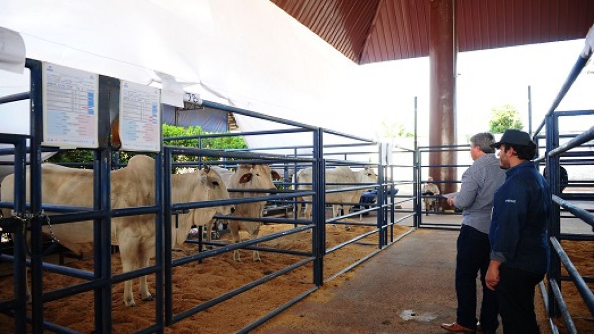 Inscrições abertas para o ?Prêmio Cláudio Sabino Carvalho?