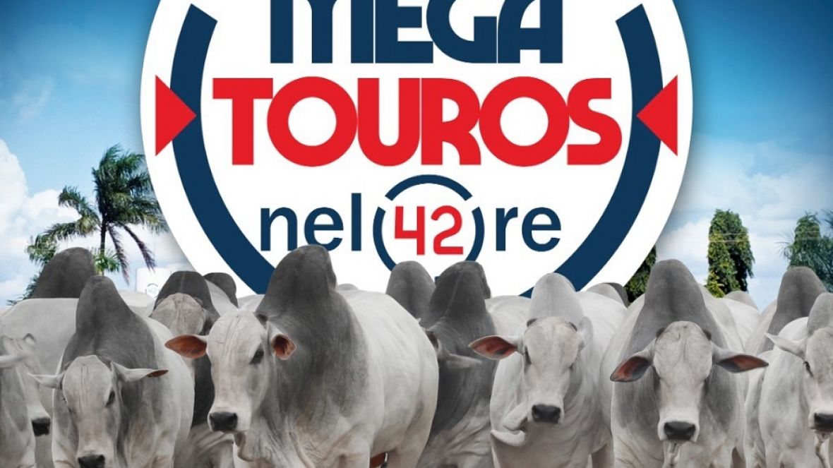 'Leilão Mega Touros Nelore 42' irá ofertar mais de 230 exemplares