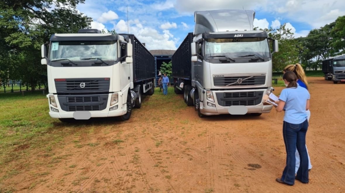 Exemplares de raças zebuínas e seus cruzamentos quarentenados em Uberaba já estão na Bolívia