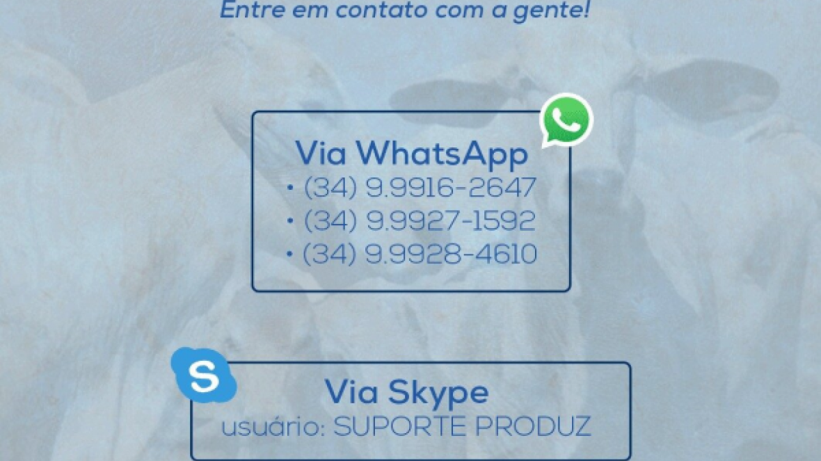 Atendimento Produz segue normalmente via WhatsApp e Skype