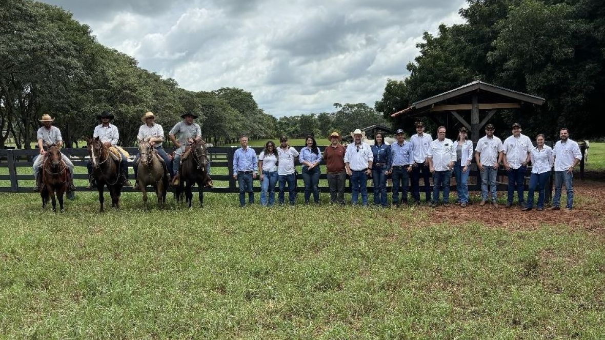 Equipes Técnica e de Fomento da ABCZ realizam treinamento na Central Leilões