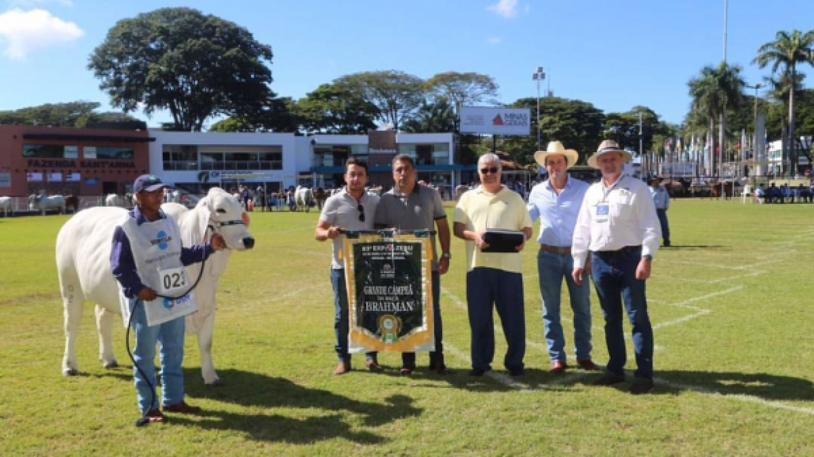 Anunciados os Grandes Campeões da ExpoZebu 2017