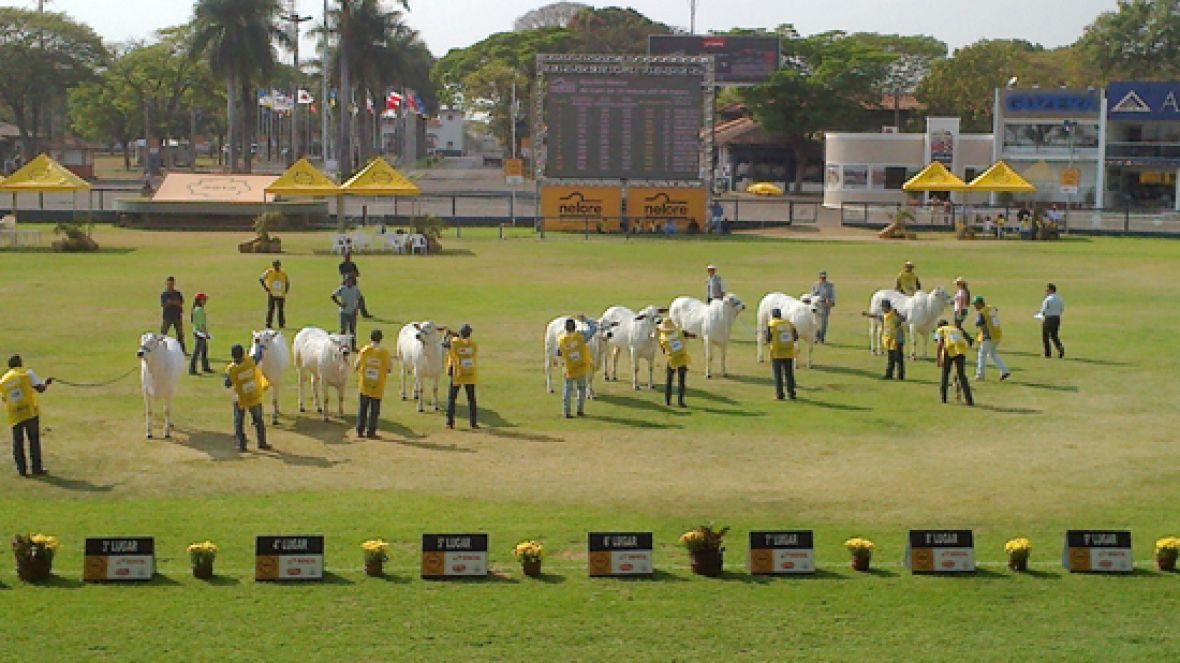 Expoinel 2015: Últimos dias de inscrições com desconto
