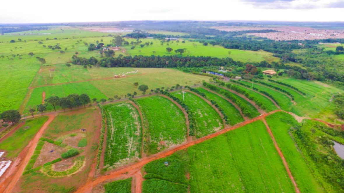 ABCZ apresenta ações sustentáveis na ExpoZebu Dinâmica