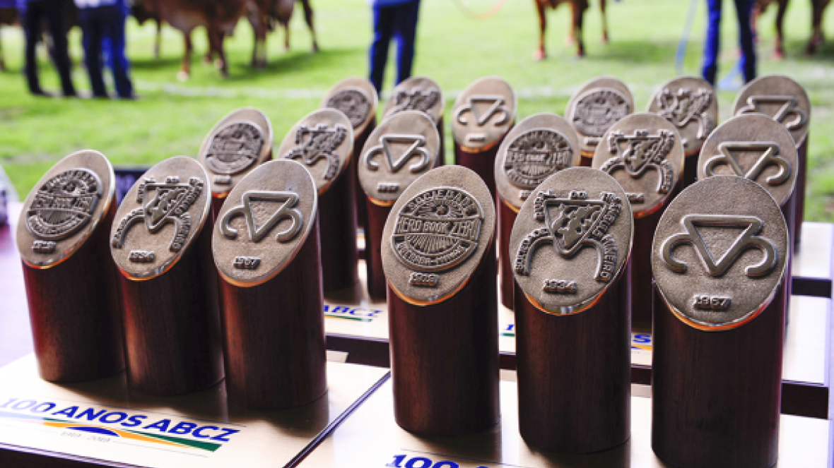 Conheça os melhores criadores e expositores da ExpoZebu 2019