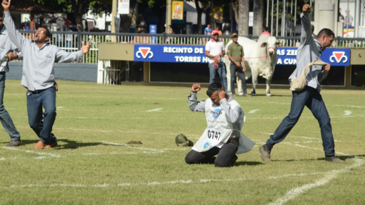 ExpoZebu 2017: uma feira para entrar na história