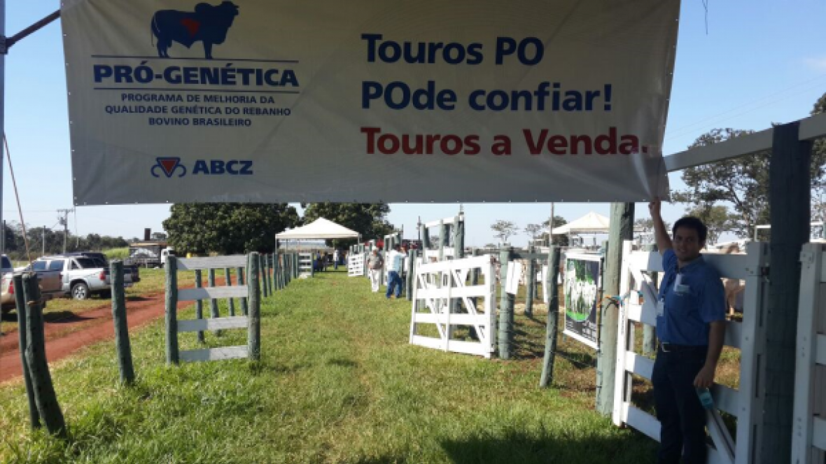 Começa julgamento e feira do Pró-Genética na Expotrês