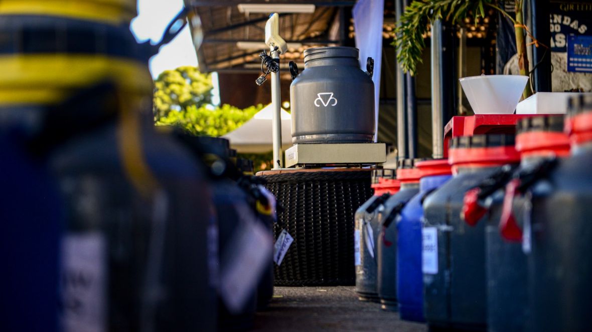 Concurso Leiteiro da 89ª ExpoZebu registra mais de 70% de ocupação no primeiro dia de inscrições