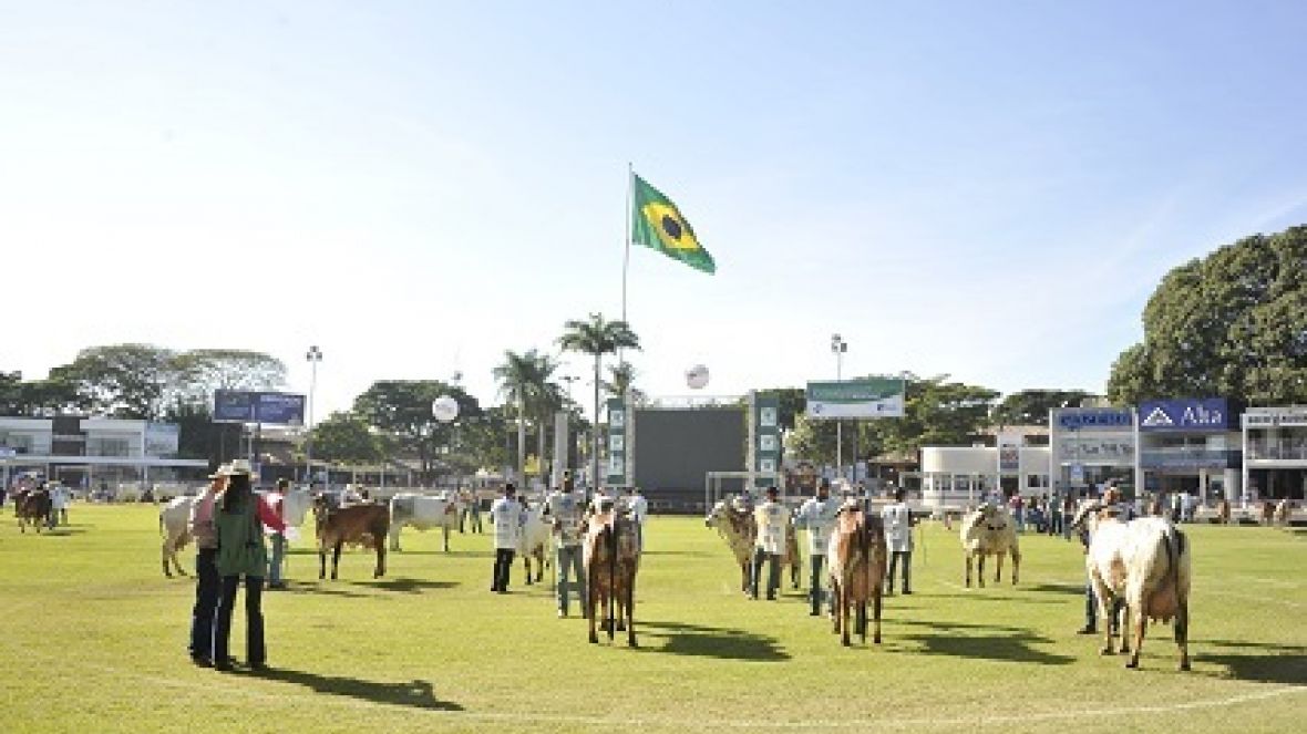 Inscrições com maior desconto para 83ª ExpoZebu terminam na 2ª feira 