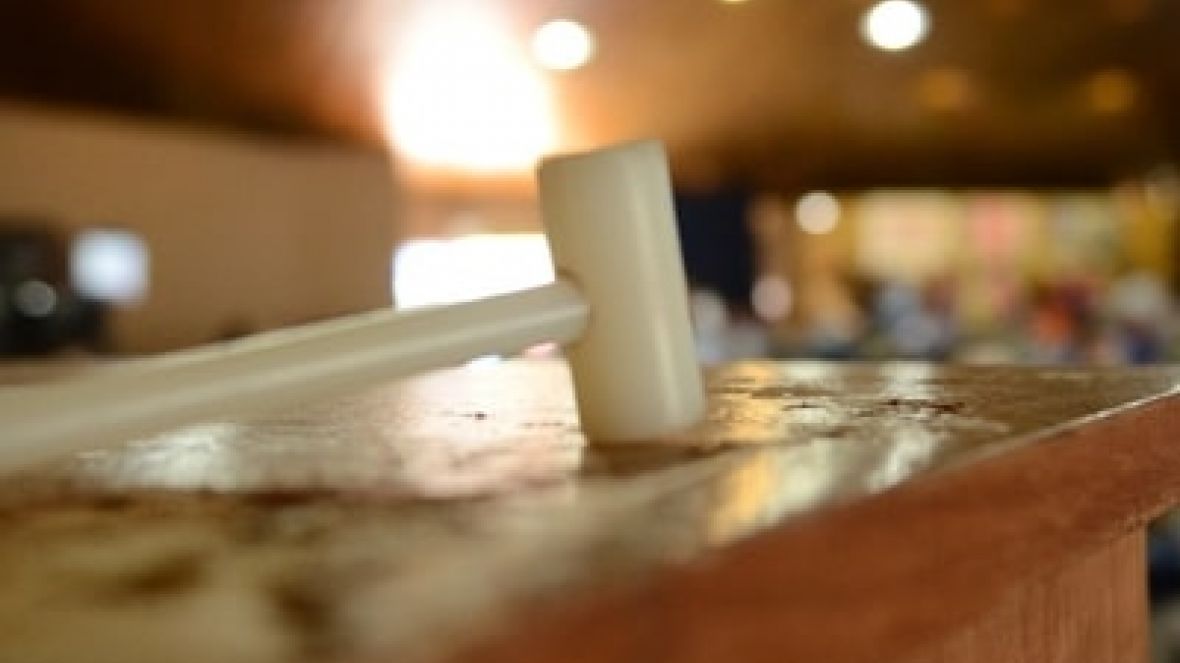 Faturamento de Leilões da ExpoGenética 2020 ultrapassa R$34,5 milhões, superando expectativas