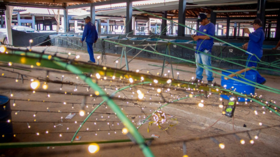 Estrutura para ?Natal no Parque? 2019 começa a ser preparada na ABCZ