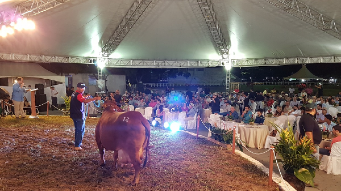 3º Leilão Sindi Pompeu Borba acontece nesta sexta-feira (21)