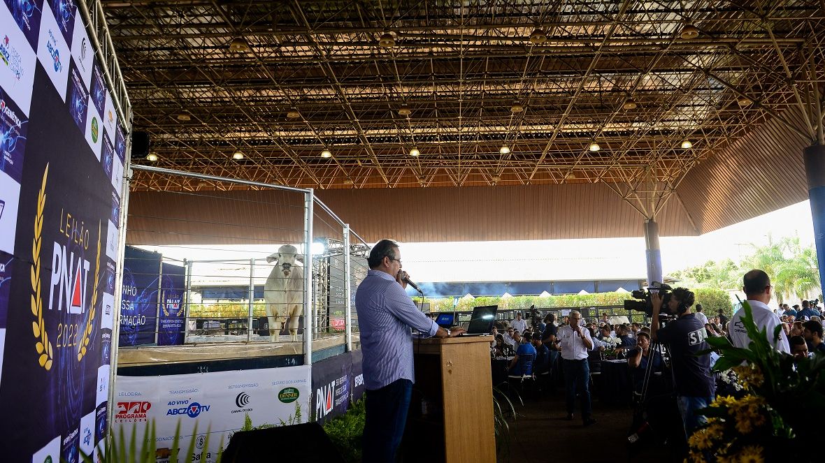 Leilão PNAT 2022 movimenta mais de R$ 2 milhões 
