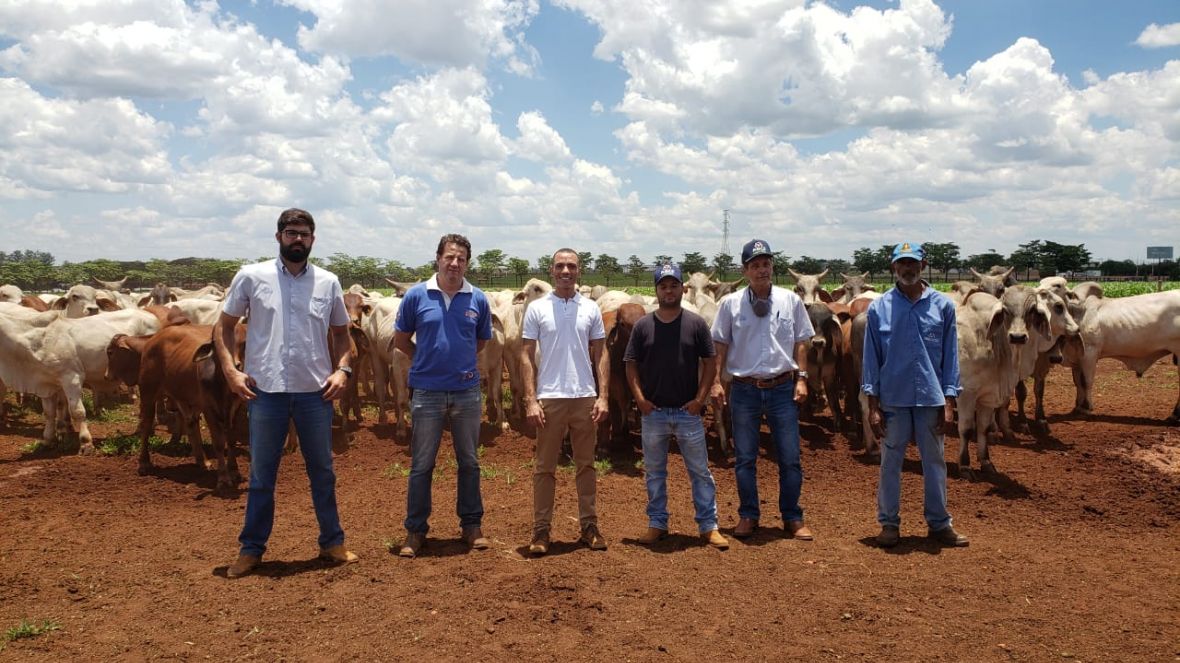 Professores do IFTM visitam programa ‘Zebu: Carne de Qualidade’