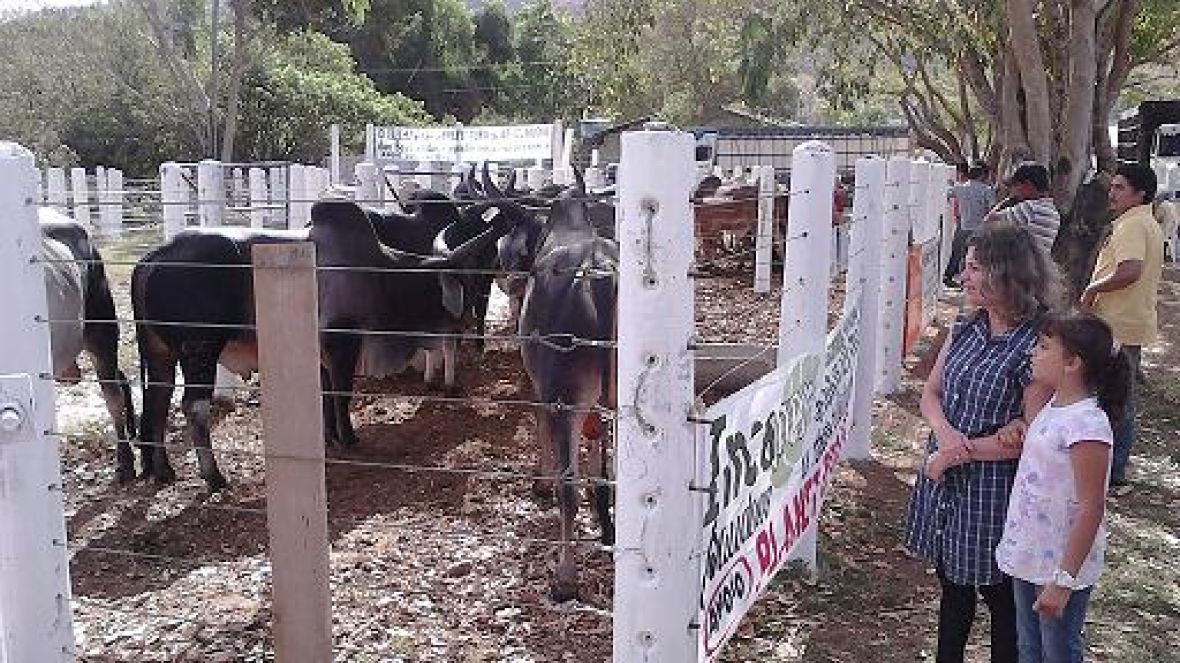 Cidade do Espírito Santo sedia feira do Pró-Genética