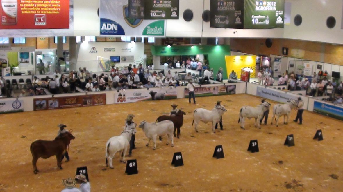 ABCZ desenvolve ações estratégicas na Colômbia 