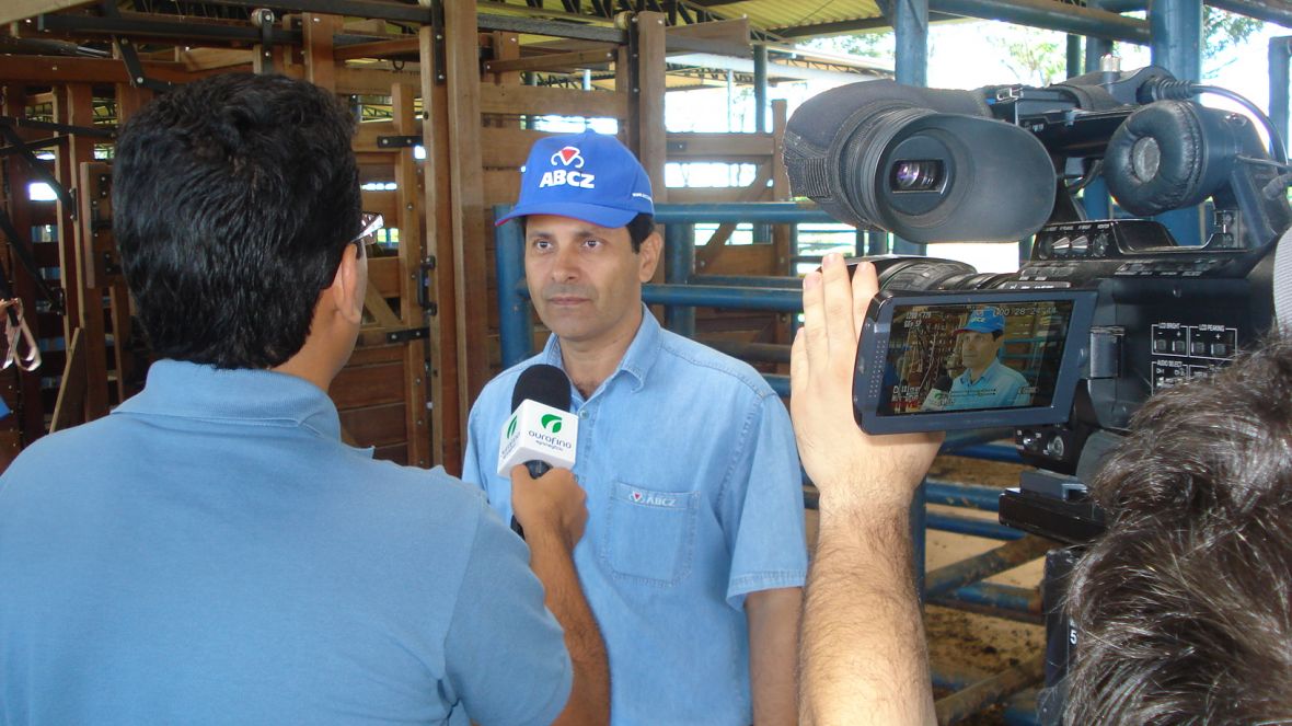 Pesagem e vacinação contra aftosa na PGP da Estância Zebu