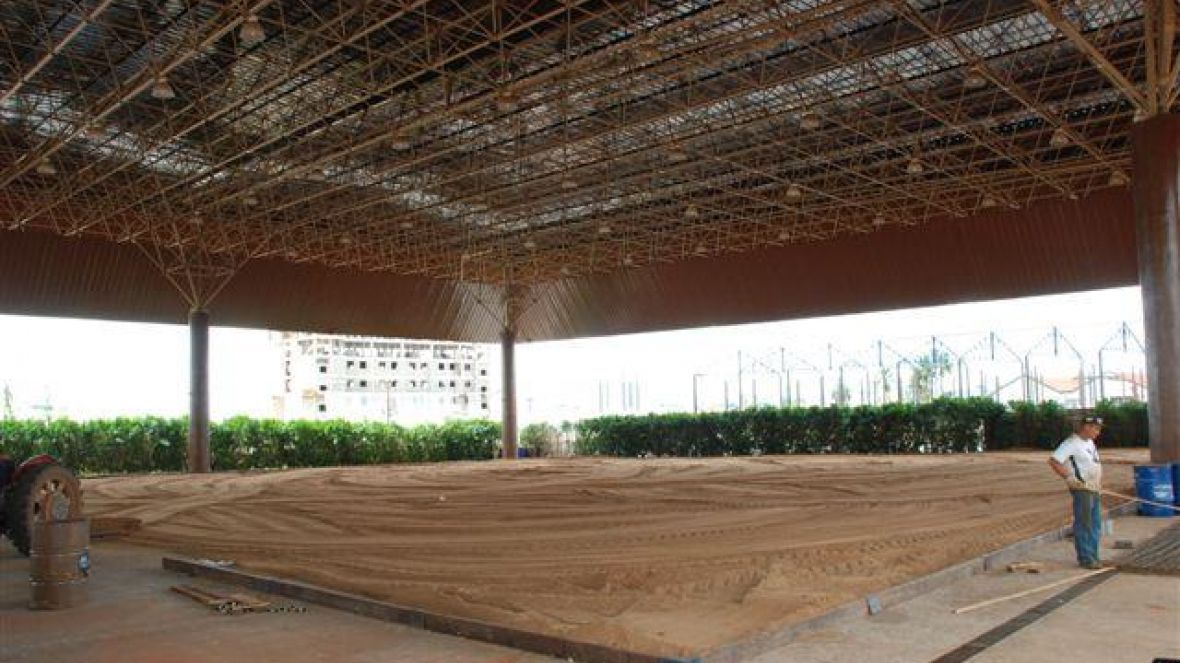 Animais da raça nelore começam a chegar para Expoinel Minas 