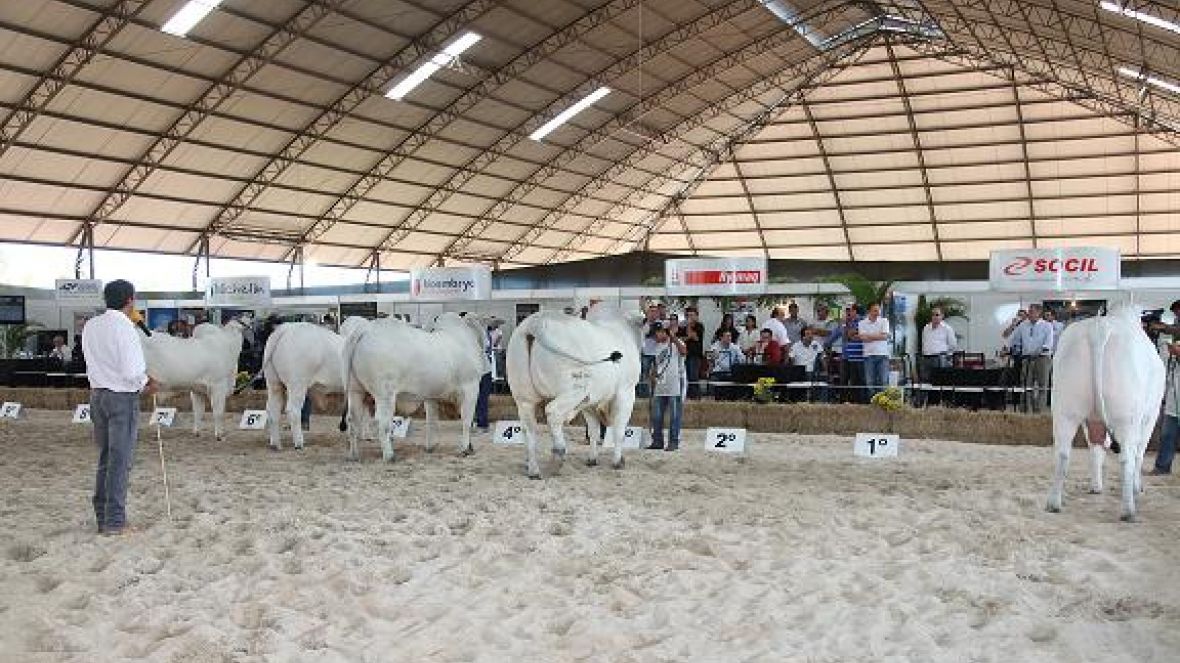 ABCZ estará presente nas principais exposições em 2012