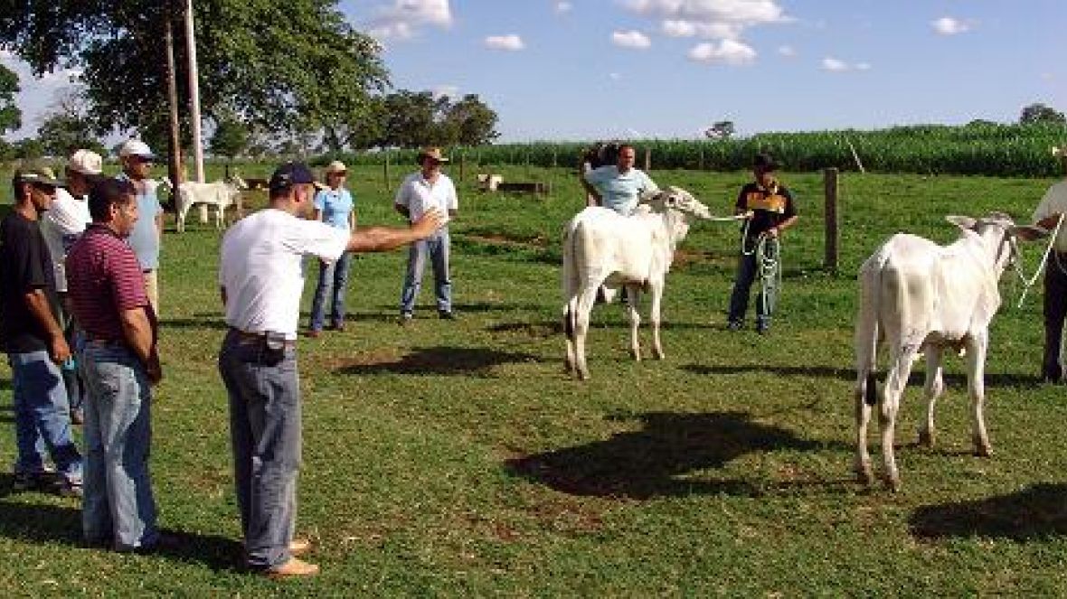 ABCZ promove cursos para capacitação de mão de obra rural
