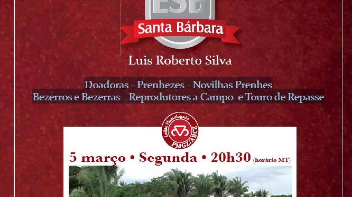 Aberta a temporada de leilões homologados pelo PMGZ