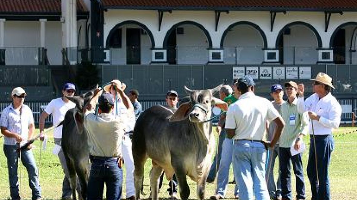 ABCZ divulga calendário de cursos para 2012