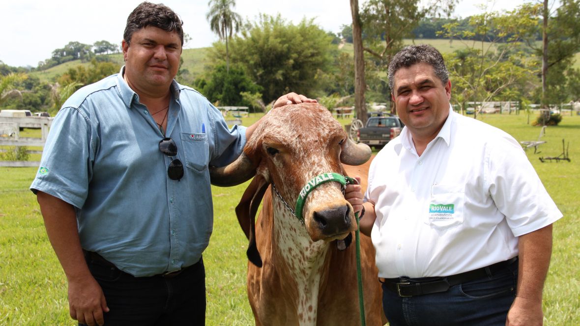 Criadores paulistas participam de Dia de Campo do PMGZ Leite 