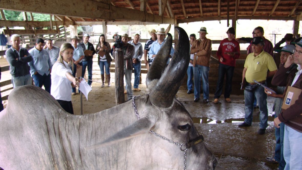 Produtores do centro-oeste mineiro tem dia de campo do PMGZ Leite 