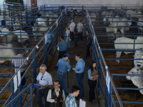 PNAT 2017 contará com teste de Eficiência Alimentar