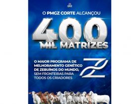 PMGZ Corte ultrapassa 400 mil matrizes ativas