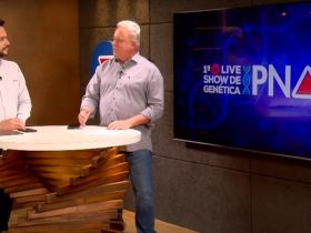 Mais de 6 mil doses são comercializadas em ‘1ª Live Show de Genética PNAT’