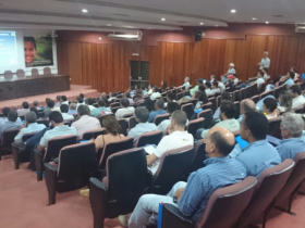  Campo Grande sedia Circuito 100% PMGZ 