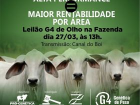 ?De Olho na Fazenda G4? começa no dia 22